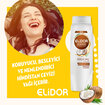 Elidor Doğanın Enerjisi Güçlü Saç Uçları Şampuan 500 Ml - Görsel 5