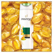 Pantene 3'ü 1 Arada Şampuan ve Saç Bakım Kremi Doğal Sentez Güç ve Parlaklık 470 ml - Görsel 5