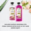 Herbal Essences Saç Bakım Kremi Arındırıcı Beyaz Çilek ve Tatlı Nane 400 ml - Görsel 5