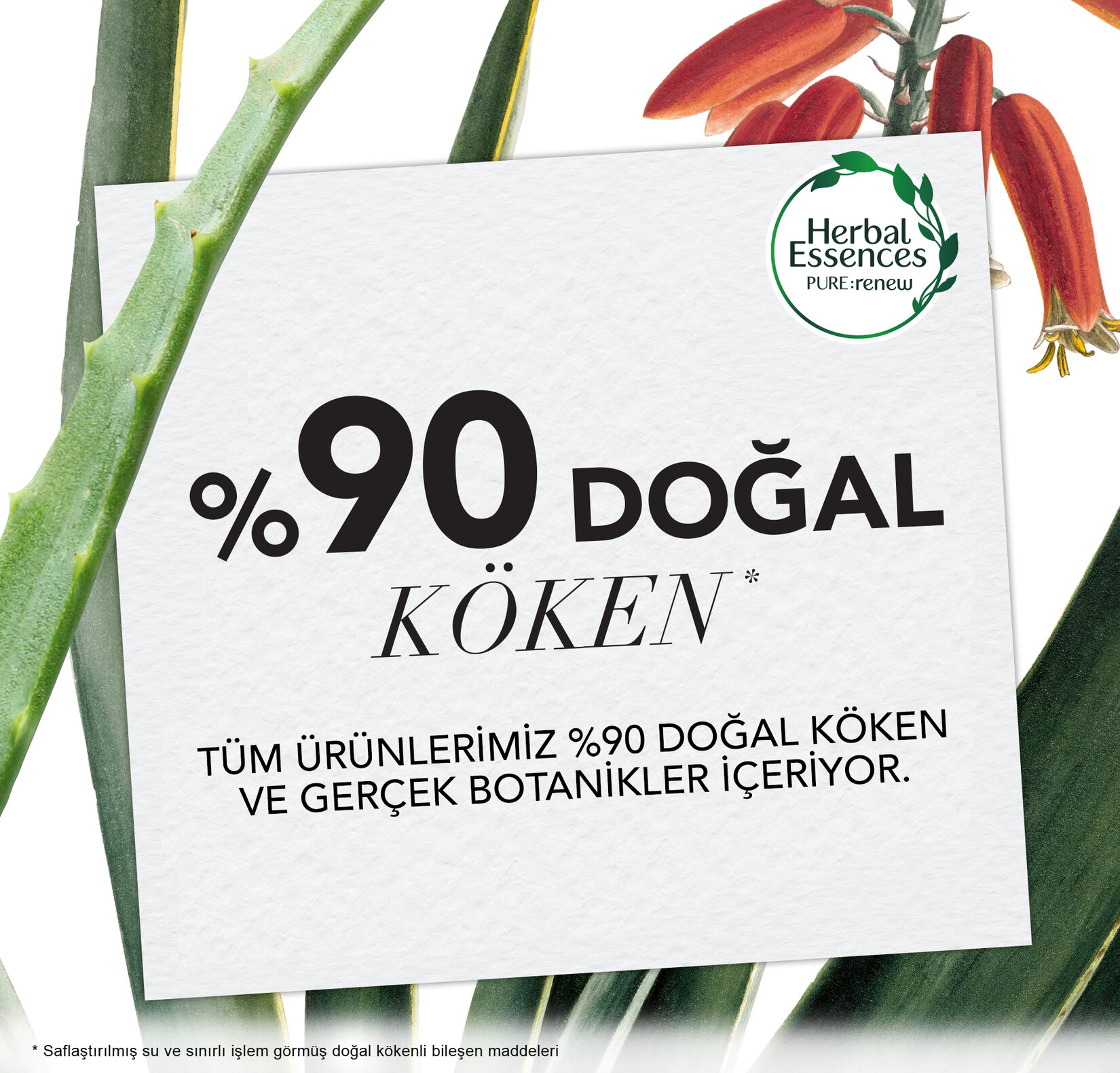 Herbal Essences Saç Bakım Kremi Nemlendirici Hindistan Cevizi Sütü 360 ml - Görsel 3