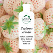 Herbal Essences Şampuan Arındırıcı Beyaz Çilek ve Tatlı Nane 400 ml - Görsel 4