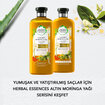 Herbal Essences Şampuan Yumuşaklık Altın Moringa Yağı 400 ml - Görsel 5