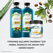 Herbal Essences Argan Yağı Onarıcı Maske 250 ml  - Görsel 5