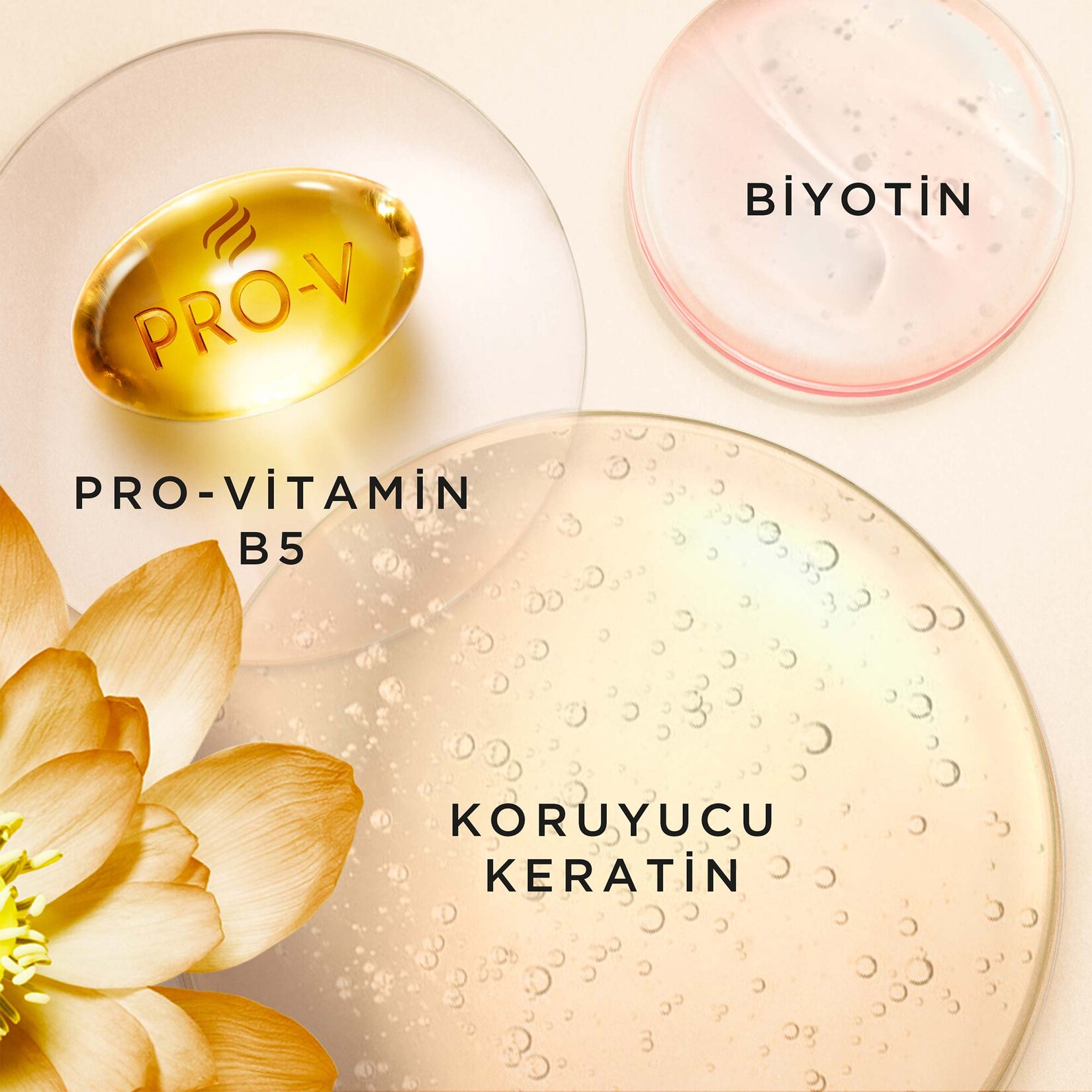 Pantene Miracles Frizz No More Saç Bakım Kremi 275 Ml - Görsel 4