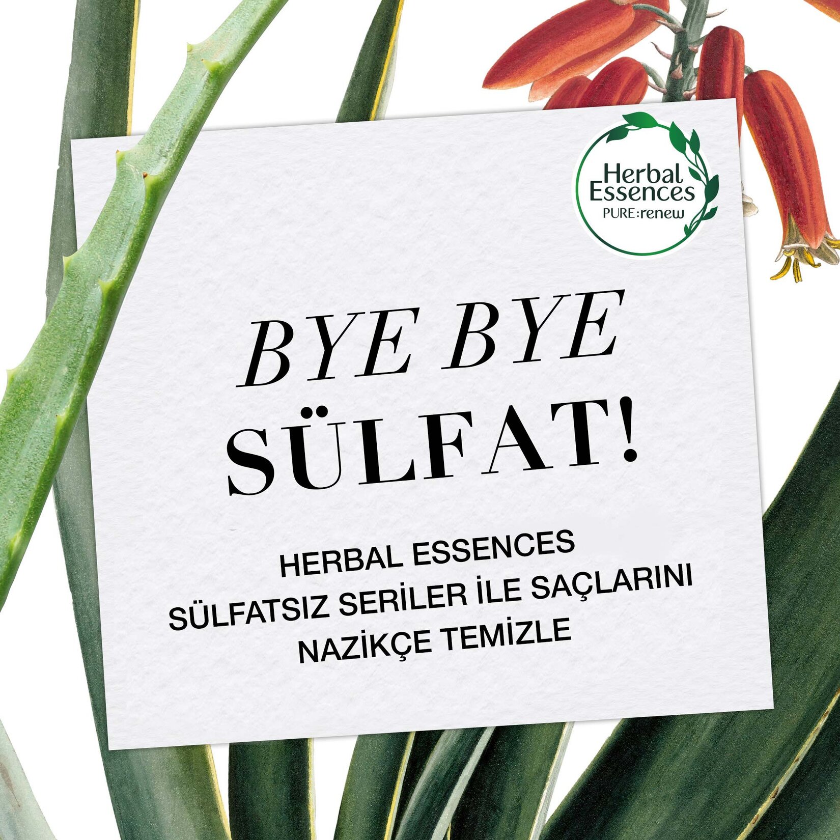 Herbal Essences Sülfatsız Renk Koruma ve Nem Aloe + Mango Saç Bakım Kremin 275 ml - Görsel 3