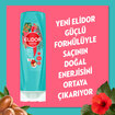 Elidor Saç Bakım Kremi Argan Yağı ve Hibiskus Özü 350 ml - Görsel 3