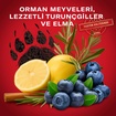 Old Spice Bearglove Duş Jeli 1 L - Görsel 5