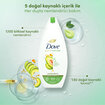 Dove Nemlendirici Duş Jeli Avokado ve Kalendula 500 ml - Görsel 3