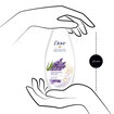Dove Lavanta & Biberiye Özlü Duş Jeli 500Ml - Görsel 4