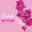 İpek Duş Jeli Orkide 400ML - Görsel 3