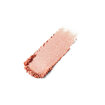 L'Oréal Paris Color Queen Tekli Göz Farı 22 Persistence - Görsel 3
