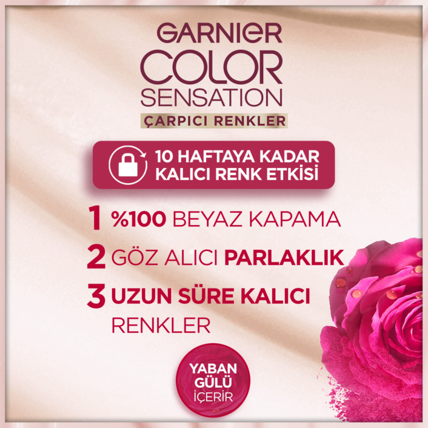 Garnier Çarpıcı Renkler 4.15 Buzlu Kestane - Görsel 8