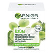 Garnier Botanik Ferahlatıcı Antioksidan Krem 50 Ml - Görsel 1