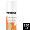 Toni&Guy Yıpranmış Saçlar İçin Şampuan 250 Ml - Görsel 2
