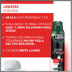 Garnier Men Lekesiz Koruma Sprey Deodorant - Görsel 3
