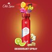 Old Spice Anti Perspirant Sprey Deodorant 150 ml&nbsp;Ultra&nbsp;Defence - Görsel 3