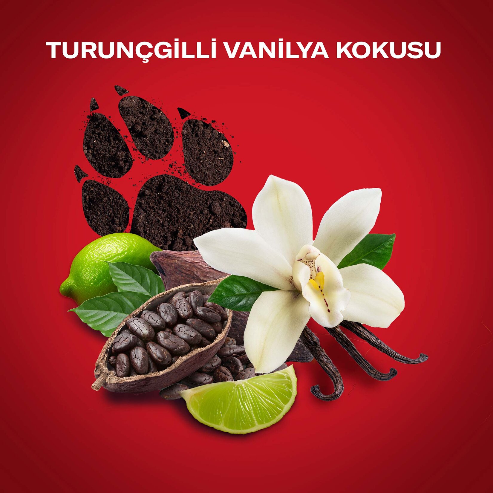 Old Spice Night Panther Deo Spray 150 ml - Görsel 4