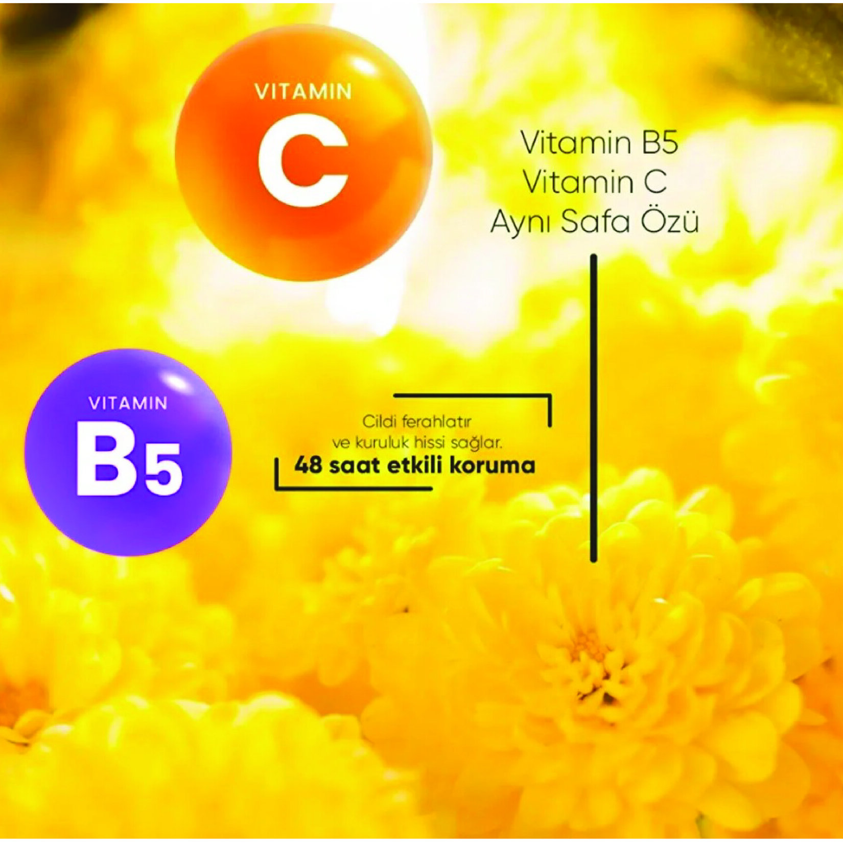 Wou Ter Önleyici Beyazlatıcı Roll-On 75 Ml - Görsel 3