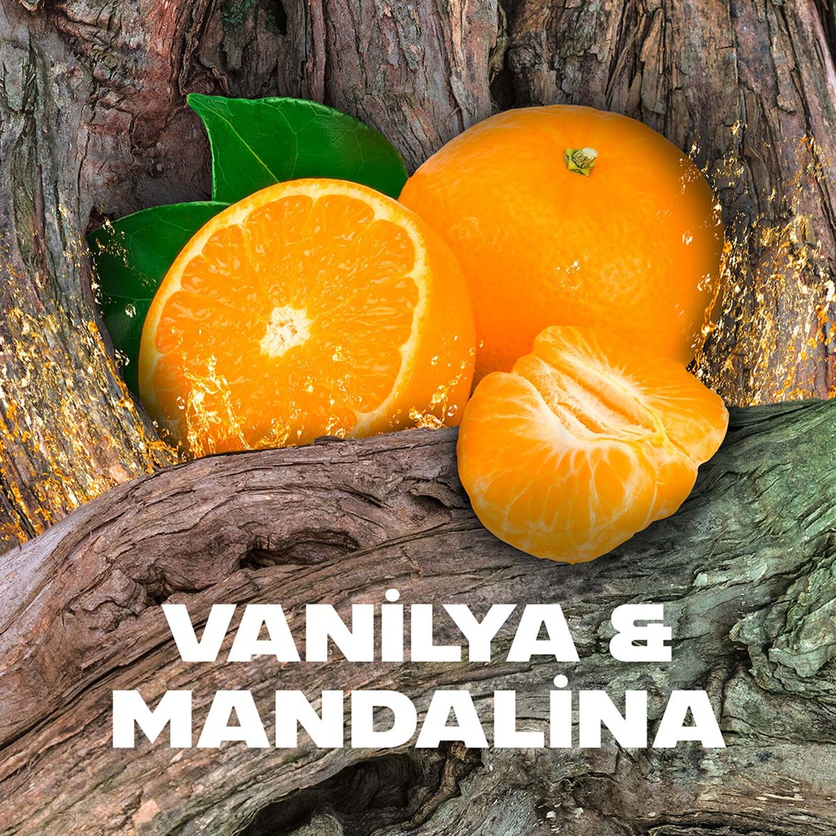 Axe Erkek Roll On Deodorant Africa 48 Saat Etkileyici Koku 50 ml - Görsel 4