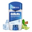 Gillette Clear Gel Artic Ice 70 Ml - Görsel 3
