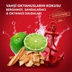 Old Spice Captain Erkek Terleme Önleyici Jel Deodorant 70 Ml - Görsel 4