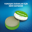 Vaseline Lip Therapy Yumuşatıcı Dudak Kremi Aloe Vera 20 g - Görsel 4