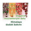 Himalaya Çilekli Parlatıcı Dudak Kremi 4.5 G - Görsel 5