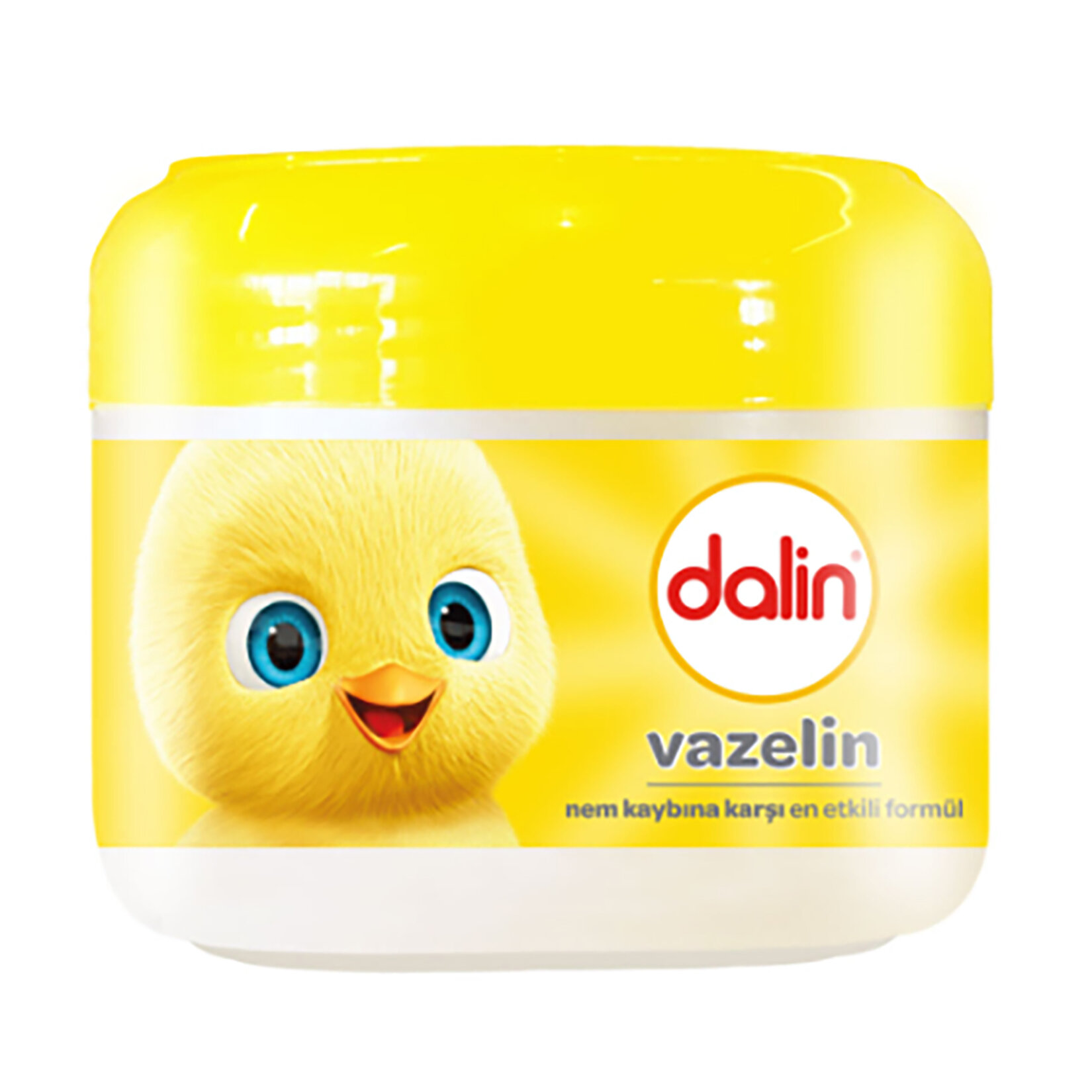 Dalin Vazelin 100 Ml