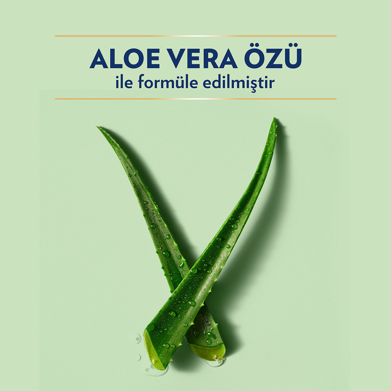 Vaseline Losyon Aloe Vera 200 Ml - Görsel 3