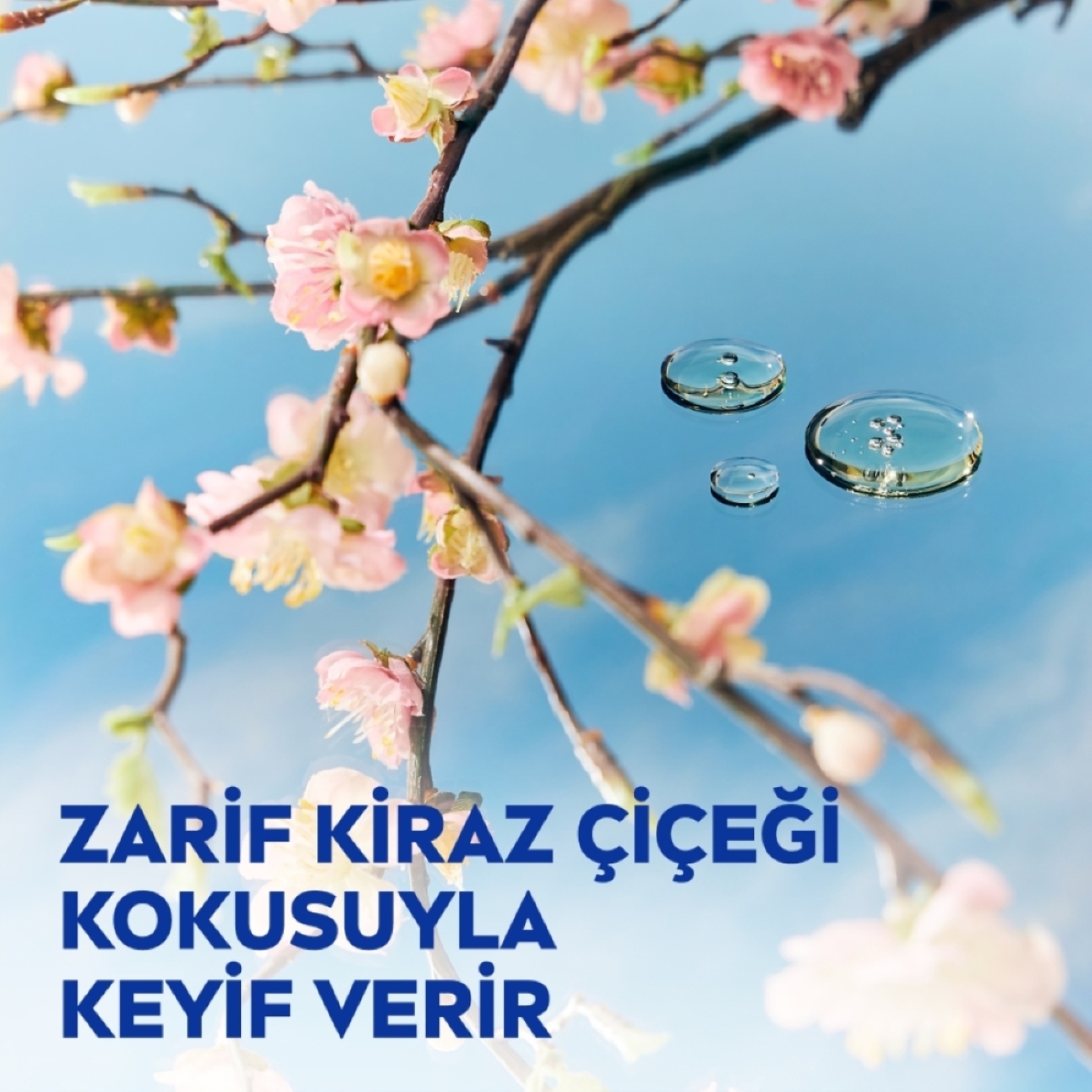 NIVEA Değerli Yağlar İçeren Vücut Losyonu Kiraz Çiçeği & Jojoba Yağı  400ml - Görsel 3