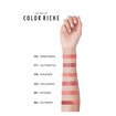 L'Oréal Paris Color Riche Les Nus Ruj 179 Nu Decadent - Görsel 5