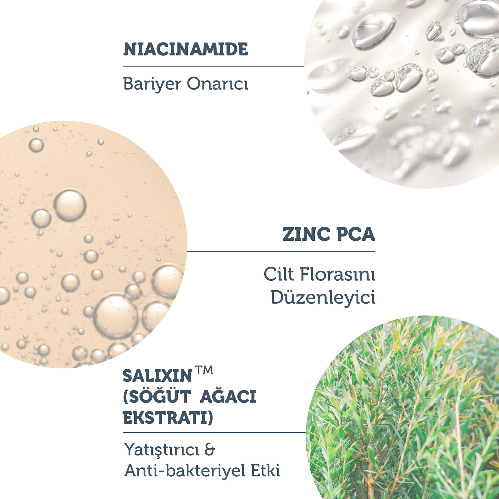 The Purest Solutions Akne Giderici Bakım Serum 30 ml - Görsel 4