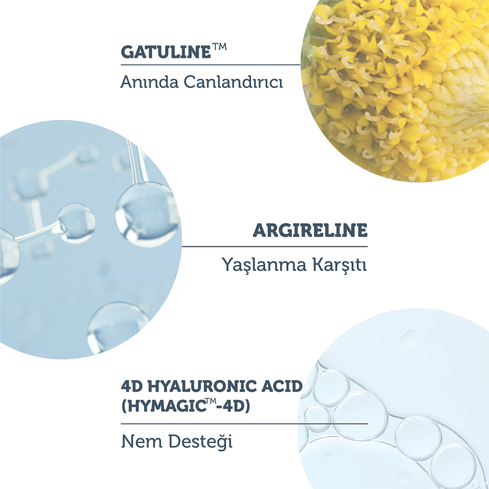 The Purest Solutions Yaşlanma Karşıtı Serum 30 ml - Görsel 5