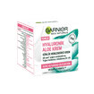 Garnier Hyaluronik Aloe Krem - Görsel 2