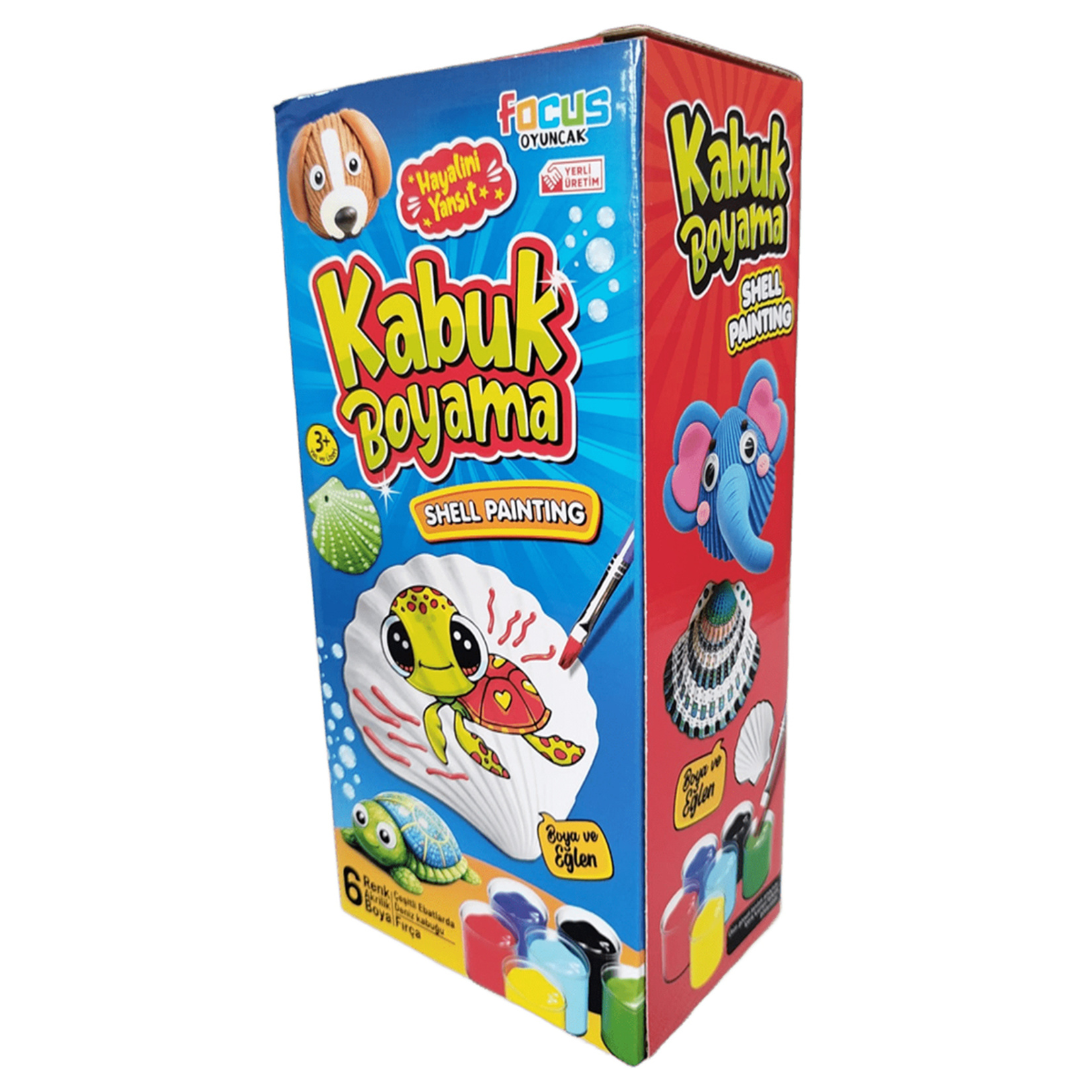 Focus Oyuncak Denız Kabuğu Boyama