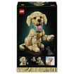 Lego İcons 11384 Yavru Golden Retriever 18+ Yaş 2102 Parça - Görsel 2