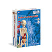 Clementoni Bilim Ve Oyun İnsan Anatomisi - Görsel 1