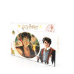 Harry Potter 250 Parça Puzzle - Görsel 1