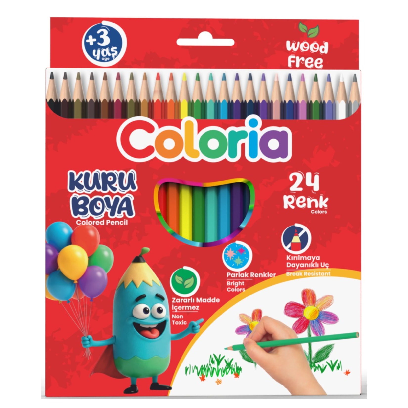 Coloria Kuruboya 24'lü