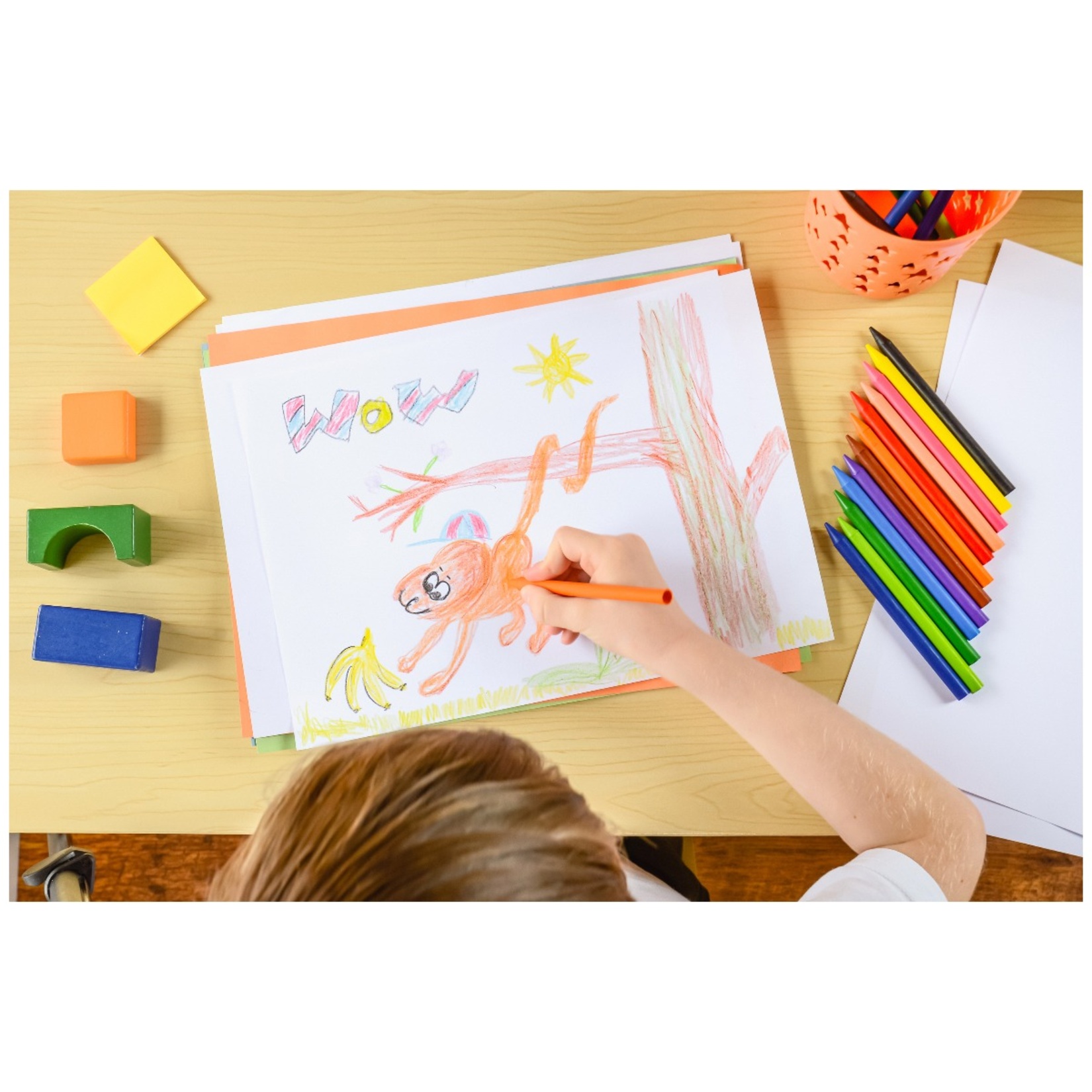Bic Elleri Boyamayan Pastel Boya 24'lü - Görsel 4