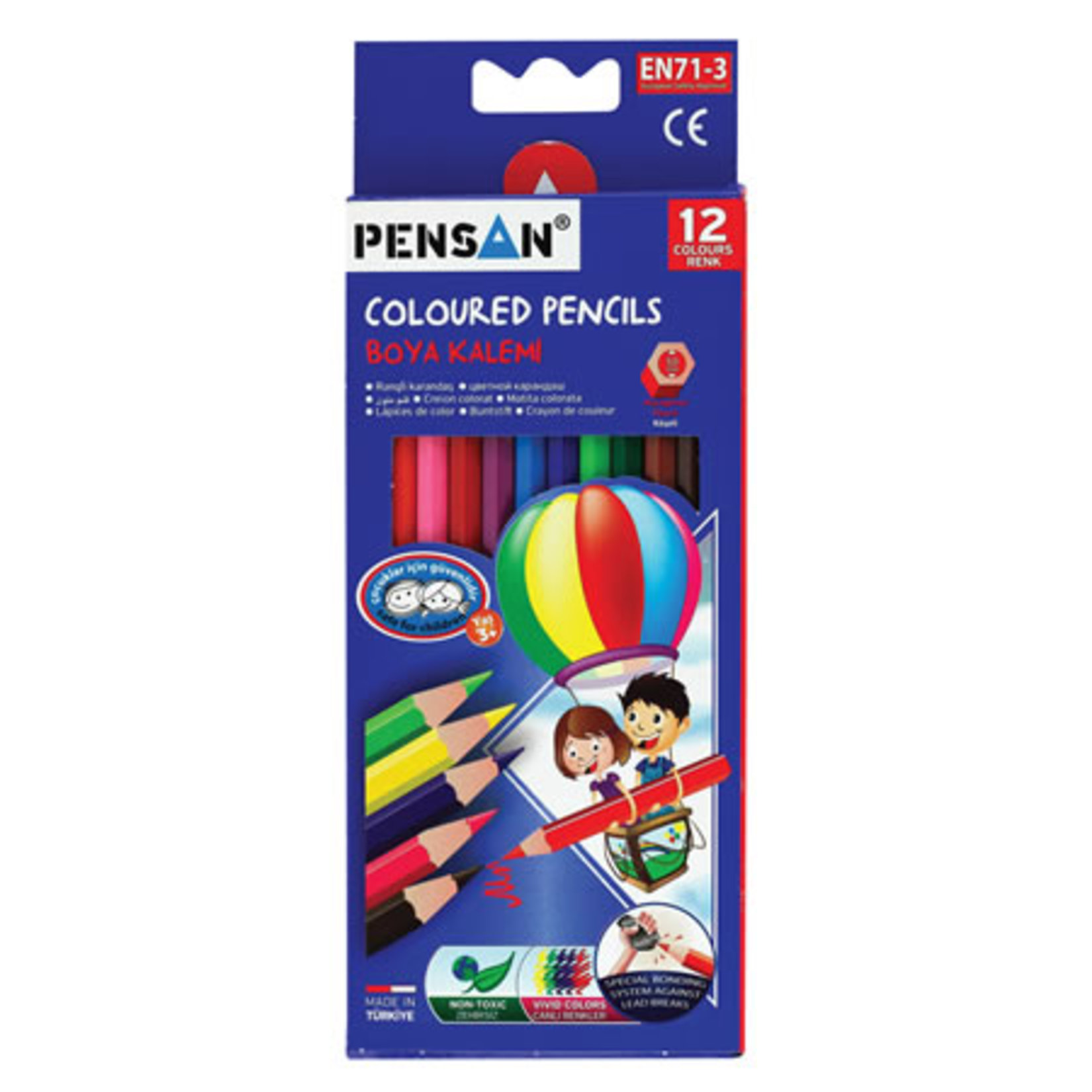 Pensan Tam Boy Boya Kalemi 12'li