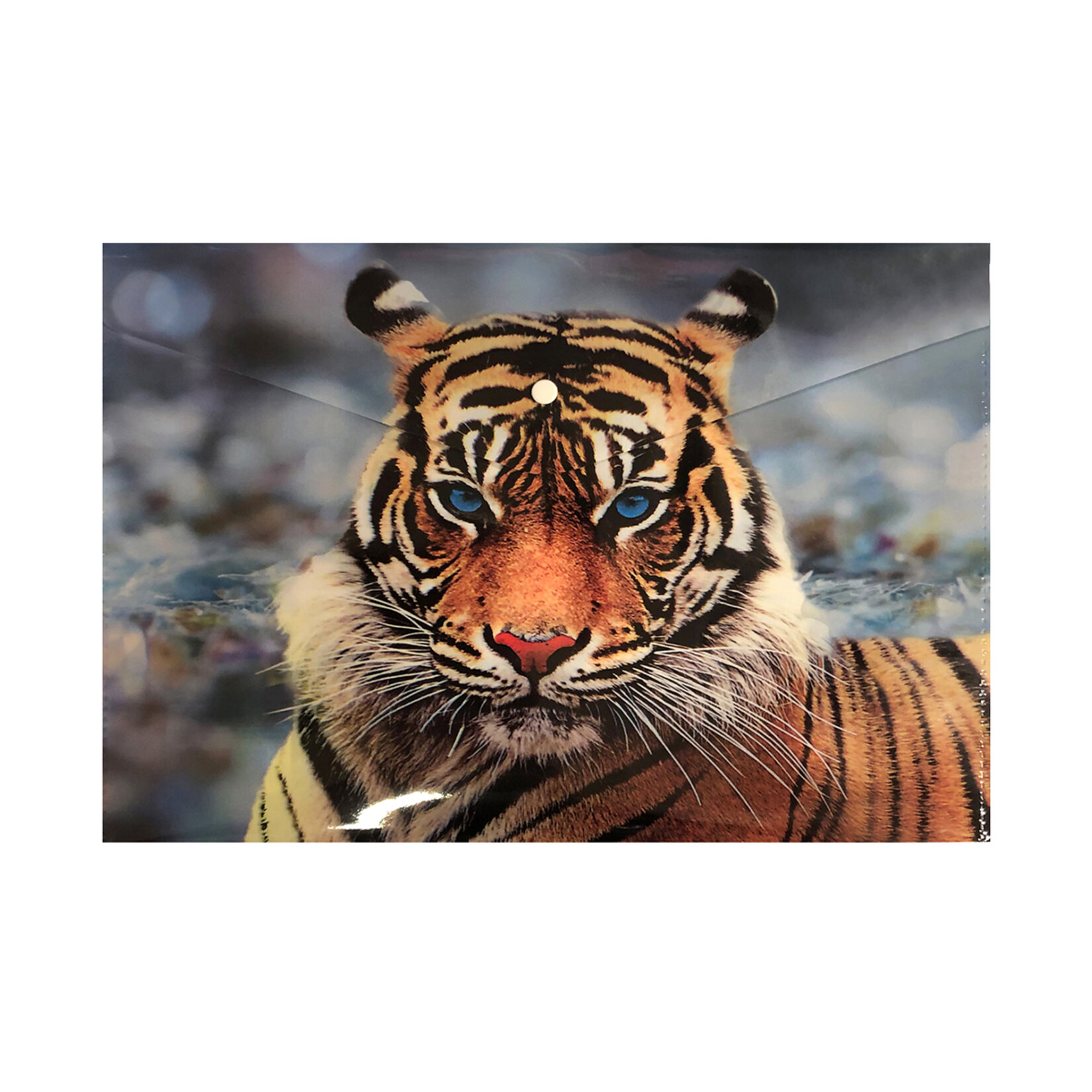 Fly Desenli Çıt Çıt Dosya - Görsel 4