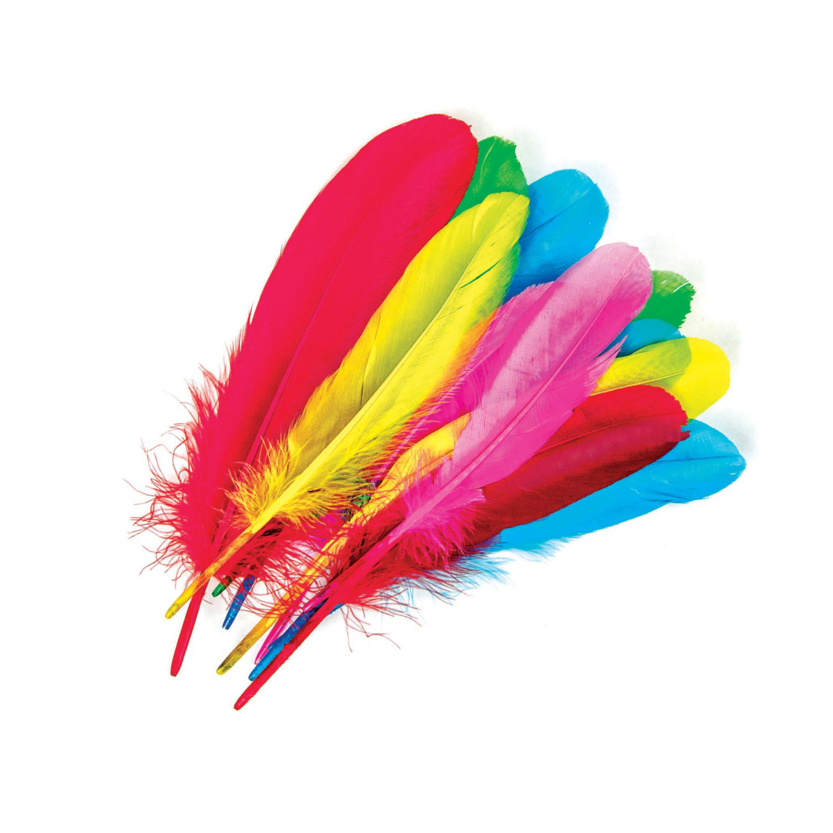 Fly Tüy 10'Lu