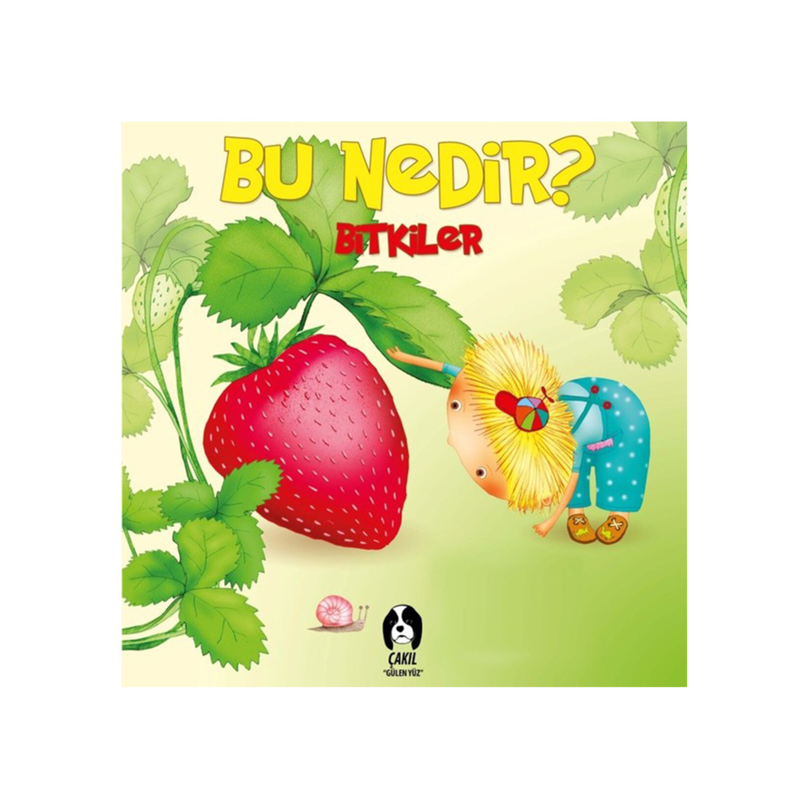 Bu Nedir Serisi - Görsel 3