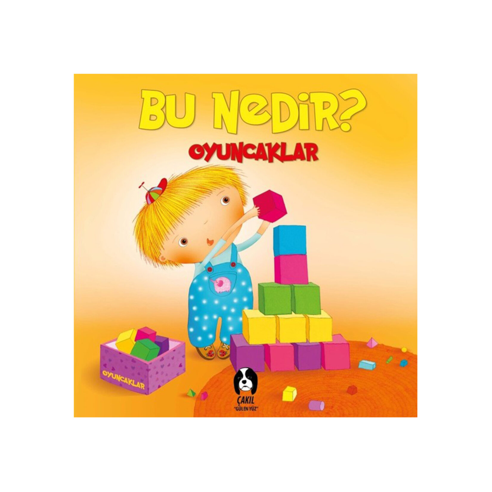 Bu Nedir Serisi - Görsel 4