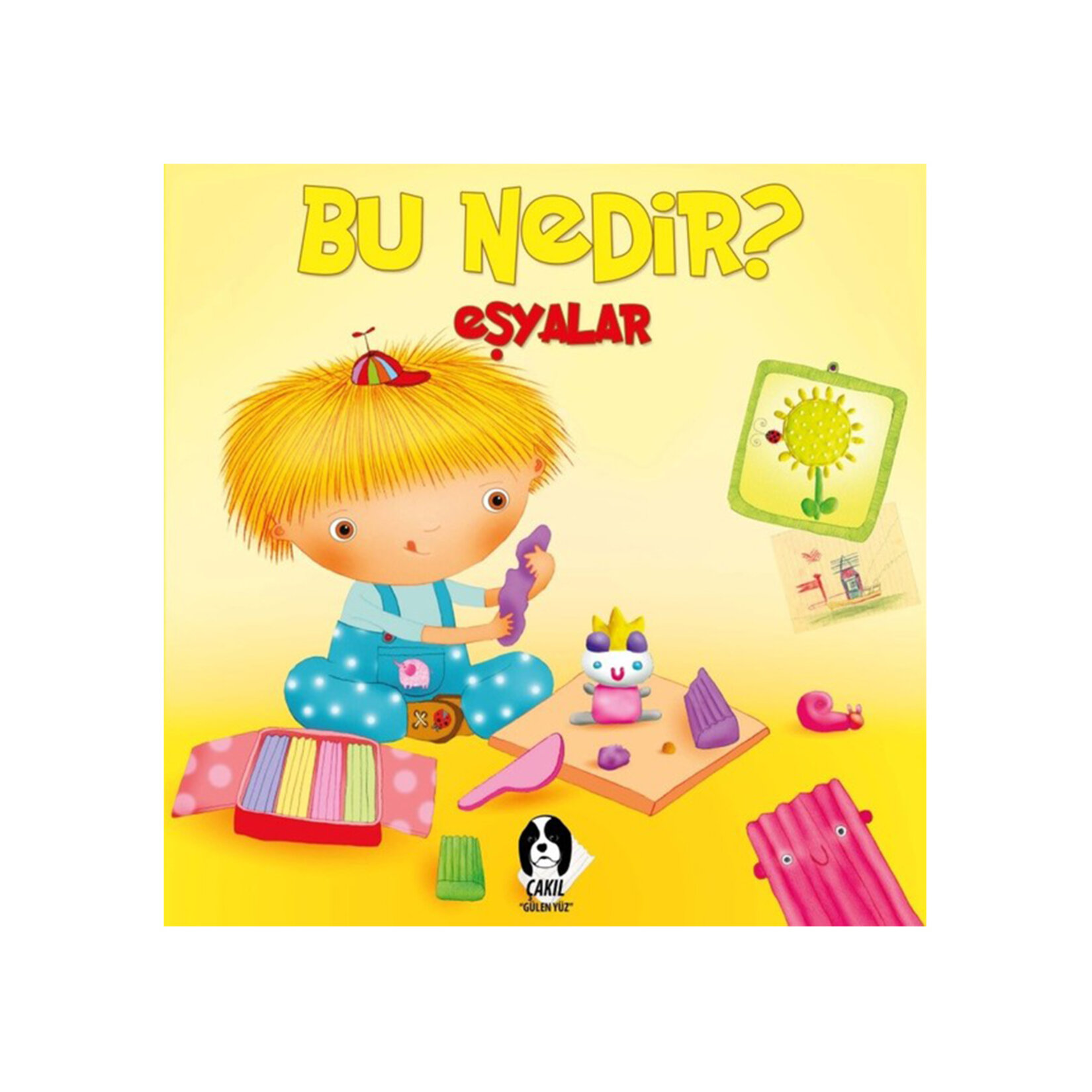 Bu Nedir Serisi - Görsel 2