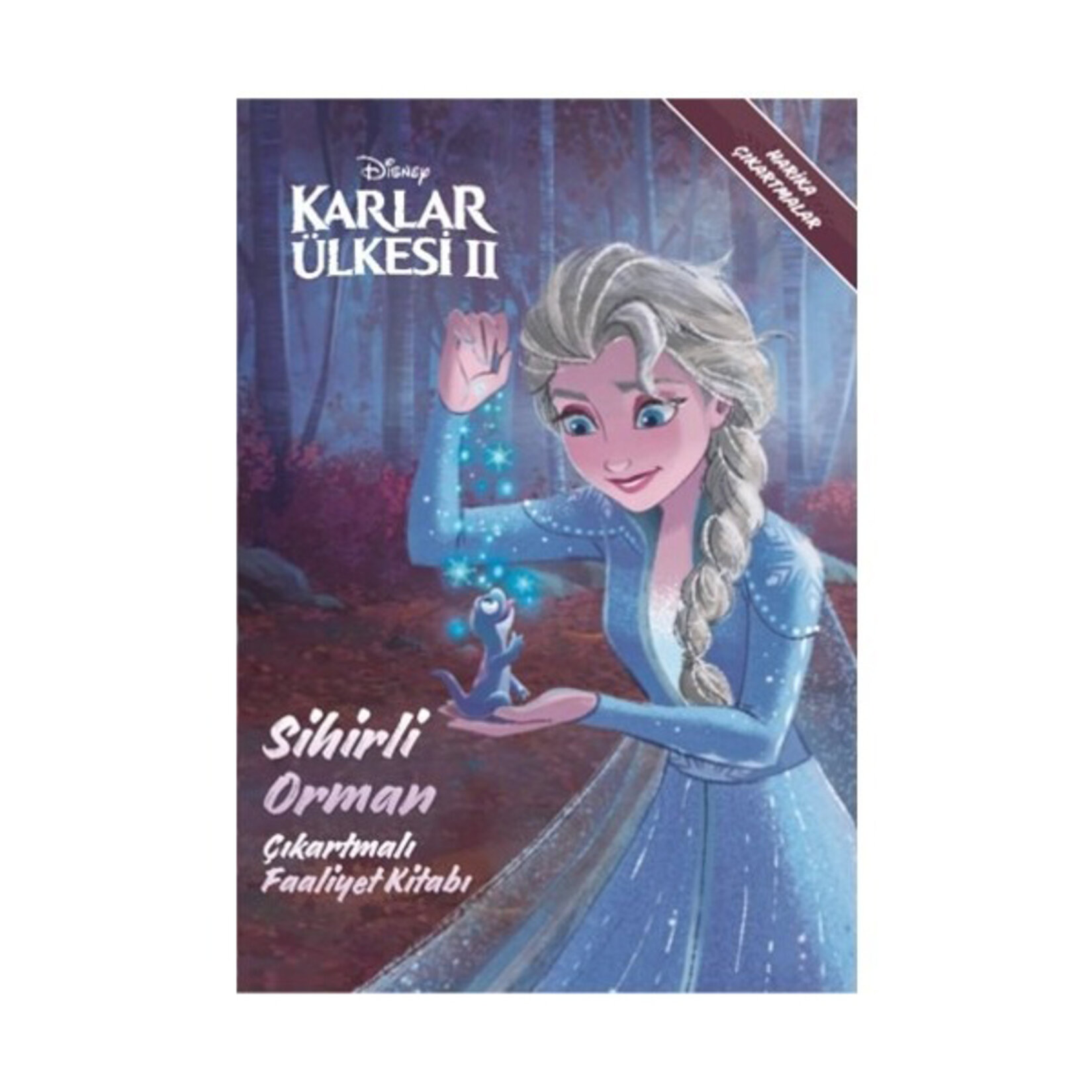 Disney Karlar Ülkesi 2 Sihirli Orman Çıkartma. Kitabı
