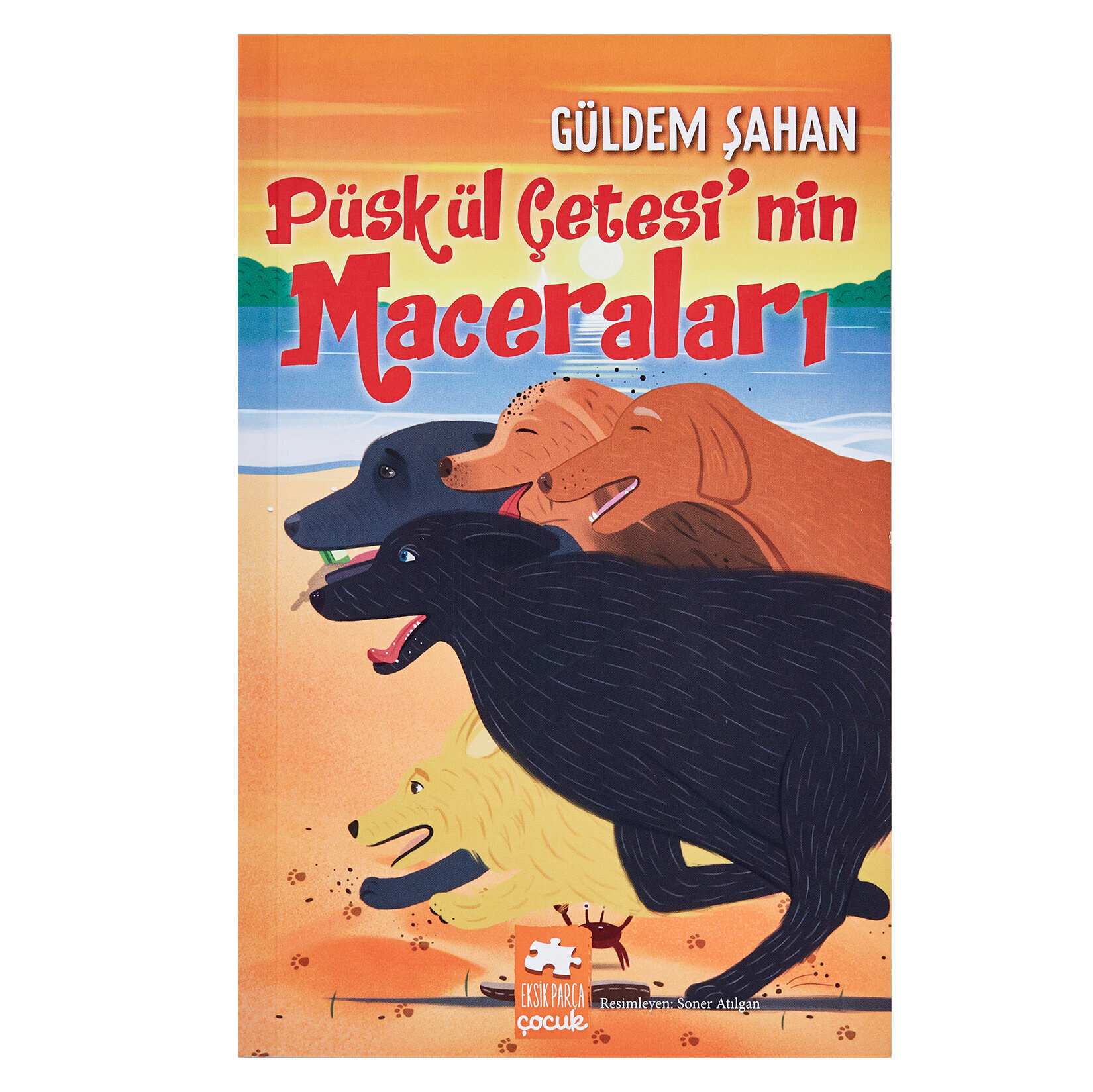 Püskül Çetesi'nin Maceraları Gülden Şahan