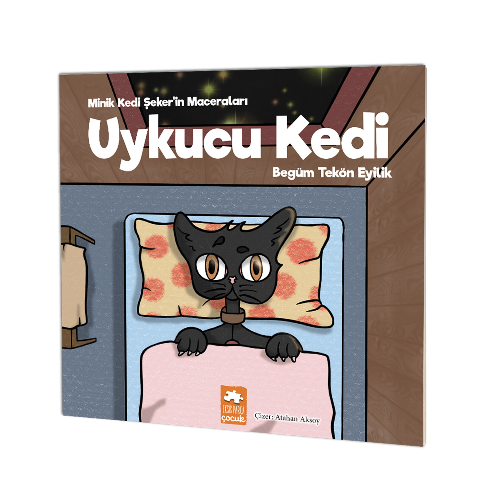 Uykucu Kedi (Begüm Tekön Eyilik)