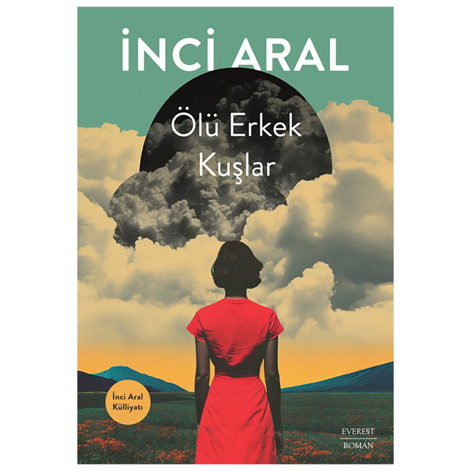 Ölü Erkek Kuşlar -İnci Aral